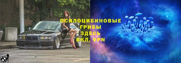 мдпв Покровск