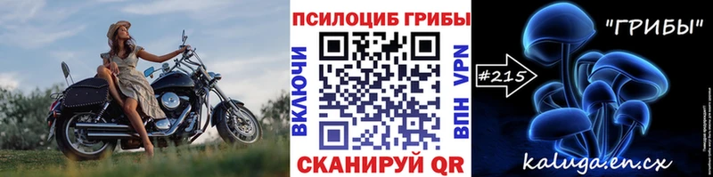 Купить закладки  Ртищево  Галлюциногенные грибы Magic Shrooms 